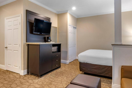 Comfort Inn & Suites Huntington Beach - Guestroom